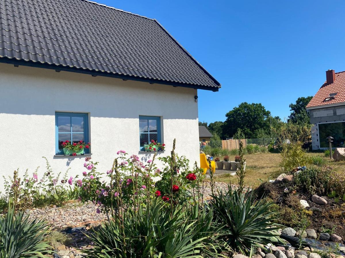 Villa Dom Na Szumiacych Drzew Debina  Exterior foto